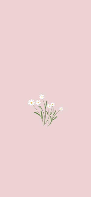 Minimalist Bahar — Galaksi A Duvar Kağıdı