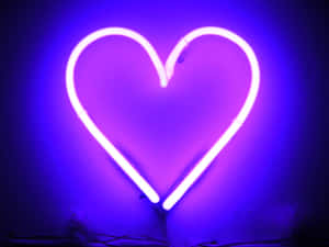Neon Kalp — Neon estetiği Duvar Kağıdı