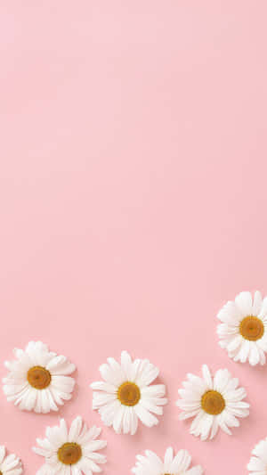 Pastel Pembe Arka Plan — Pastel pembe estetik Duvar Kağıdı