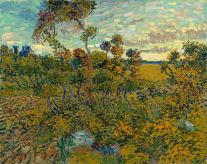 Montmajour'da Gün Batımı Van Gogh Müzesi