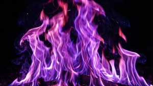 Alışılmadık bir renkteki ateşin enerjisini ve güzelliğini yakalayan canlı mor bir alev. — Mor Duvar Kağıdı
