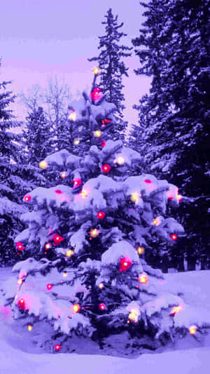 iPhone Noel Karı — Noel iPhone Duvar Kağıdı
