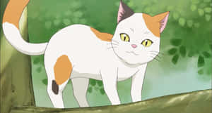 Anime Kedi resimleri — Animasyon kedi Duvar Kağıdı