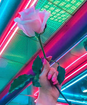Neon Estetiği resimleri — Neon yeşili estetiği Duvar Kağıdı