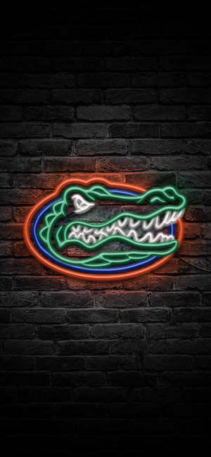 Neon Işıklarda Florida Gators Logosu duvar kağıdı — iPhone 11 Pro Duvar Kağıdı