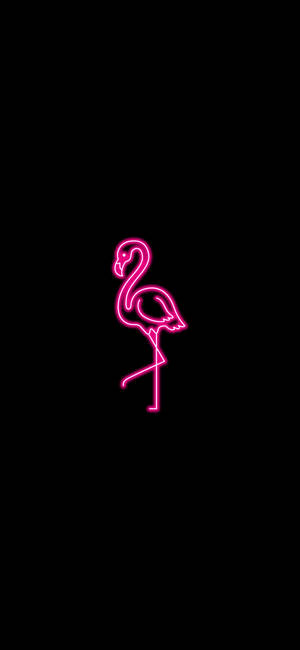 Neon Pembe Estetik Flamingo duvar kağıdı