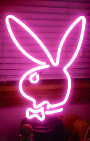 Neon Pembe Estetik resimleri — Neon pembe estetik Duvar Kağıdı