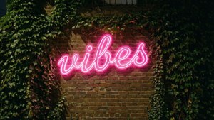Gece sarmaşık kaplı tuğla duvarda 'vibes' yazılı neon tabela. — Indie estetiği GIF Duvar Kağıdı