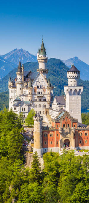 Neuschwanstein Şatosu Dağ Manzarası — Pixel 11 Duvar Kağıdı