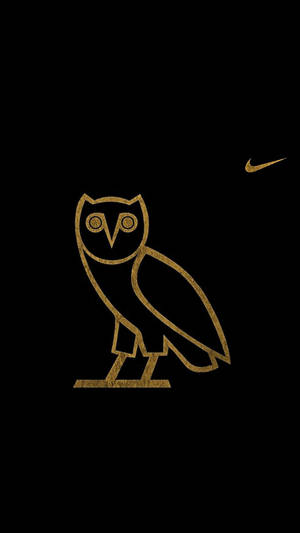Nike Amblemi ile Havalı Baykuş