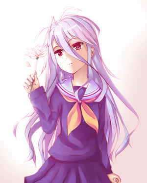 No Game No Life arka planı — No Game No Life Duvar Kağıdı