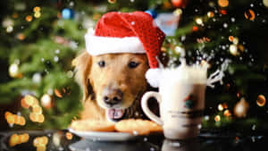 Şirin Estetik Noel resimleri — Noel Ağacı Duvar Kağıdı