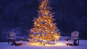 Güzel Noel resimleri — Güzel Noel Duvar Kağıdı