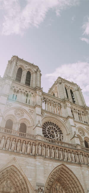 Notre Dame Katedrali — Google Pixel 6 Pro Duvar Kağıdı