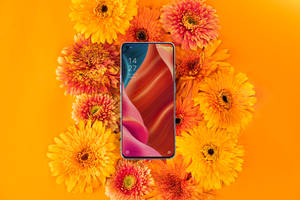Oppo Akıllı Telefon ve Gelişen Çiçekler