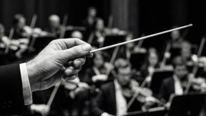 Orkestra ile orkestra şefi batonunun dramatik siyah beyaz yakın çekimi. — Müzik estetiği Duvar Kağıdı