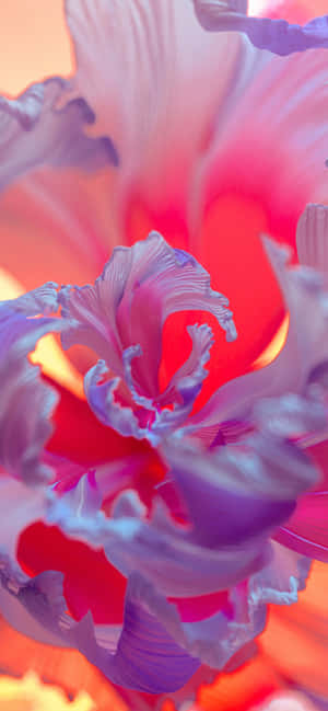 Purple Flower Pictures — Infinix Note Edge Duvar Kağıdı