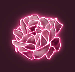 Neon Pembe Estetik görseller — Neon pembe estetik Duvar Kağıdı