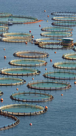 1440x2560 — 1440x2560 Duvar Kağıdı