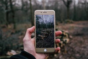 iPhone kullanarak ateş odunlarının fotoğrafını çeken kişi