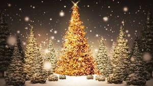 Parlayan ve Güzel Noel Ağaçları — Güzel Noel Duvar Kağıdı