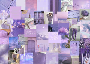 Pastel Mor Arka Plan — Pastel mor GIF Duvar Kağıdı