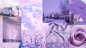 Pastel Mor Arka Plan — Pastel mor GIF Duvar Kağıdı