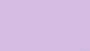 Pastel Mor Arkaplan — Pastel mor GIF Duvar Kağıdı