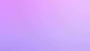 Pastel Mor Arkaplan — Pastel mor GIF Duvar Kağıdı