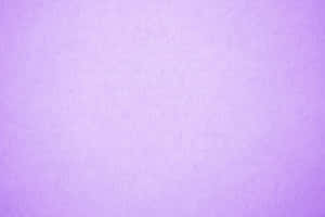 Pastel Mor Arkaplan — Pastel mor GIF Duvar Kağıdı