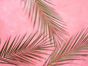 Pastel Pembe Arkaplan — Pastel pembe Duvar Kağıdı