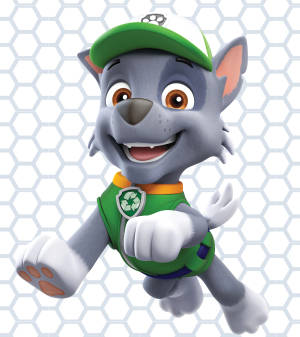 Paw Patrol Rocky duvar kağıdı — Motorola Razr Fold Duvar Kağıdı