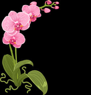 Çiçek Tasarımcısı - Çiçek Floral Tasarım, HD Png İndir