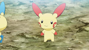 Plusle [duvar kağıdı] — Animasyon manzara Duvar Kağıdı