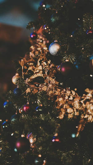 Preppy Noel — Preppy Noel Duvar Kağıdı