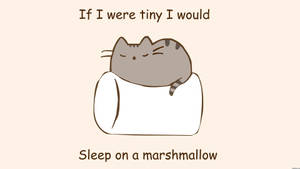 Pusheen Marshmallow Üzerinde Uyuyor duvar kağıdı — 1920x1080 Duvar Kağıdı