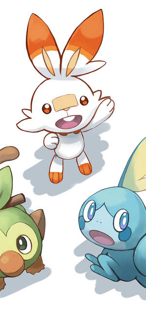 Scorbunny ve Diğer Galar Başlangıç Pokémonları — Pokemon Telefon Duvar Kağıdı