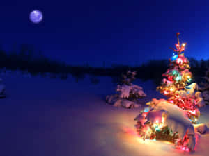Bir Noel Şarkısı arka planı — Bir noel şarkısı Duvar Kağıdı