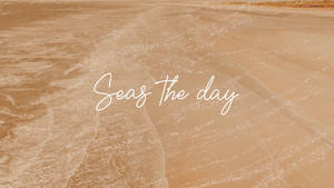 Seas The Day Krem Estetiği