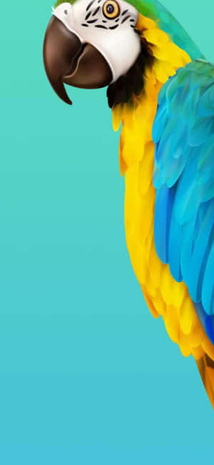 1179x2556 — HMD Aura 2 Duvar Kağıdı