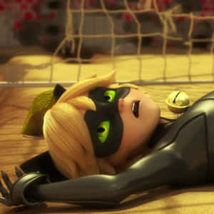 Cat Noir resimleri
