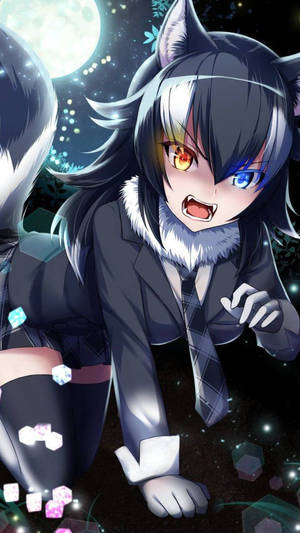 Sevimli Anime PFP Kurt Kız duvar kağıdı — Sevimli anime profil fotoğrafı Duvar Kağıdı