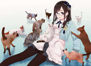Anime Kedisi Çikolata Yiyor — Animasyon kedi Duvar Kağıdı