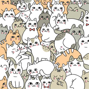 Sevimli Kedi resimleri — Sevimli Kedi Duvar Kağıdı