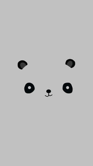 Panda Arka Planı — Panda Duvar Kağıdı