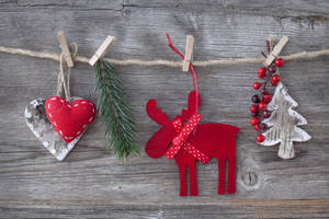 Sevimli Yüksek Çözünürlüklü Noel Geyiği — Noel estetiği Duvar Kağıdı