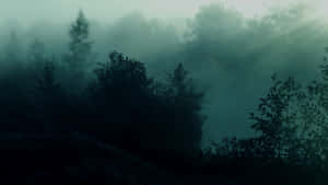 Karanlık Orman Arka Planı — Sisli orman Duvar Kağıdı