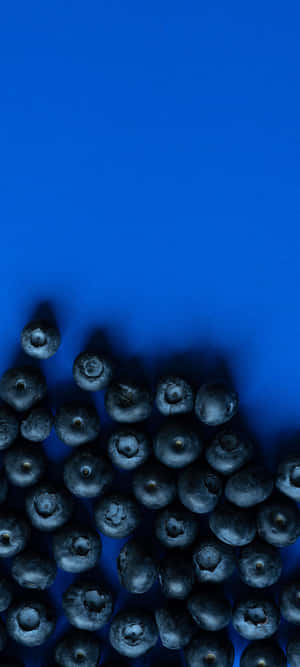 1080x2400 — Moto E14 Duvar Kağıdı