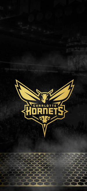 Charlotte Hornets siyah duvar kağıdı — iPhone 17 Pro Duvar Kağıdı