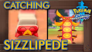 Sizzlipede [duvar kağıdı] — Naruto posteri Duvar Kağıdı